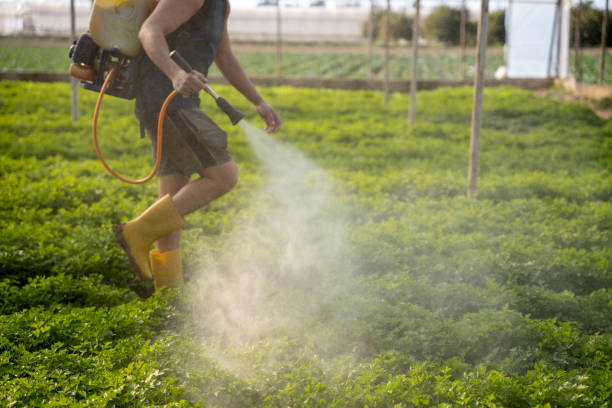Best Best Pest Control Companies  in Greensburg, IN