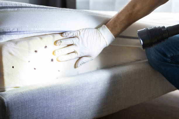 Reliable Greensburg, IN Pest Control Solutions