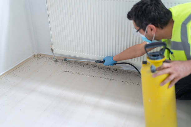 Best Residential Pest Control  in Greensburg, IN